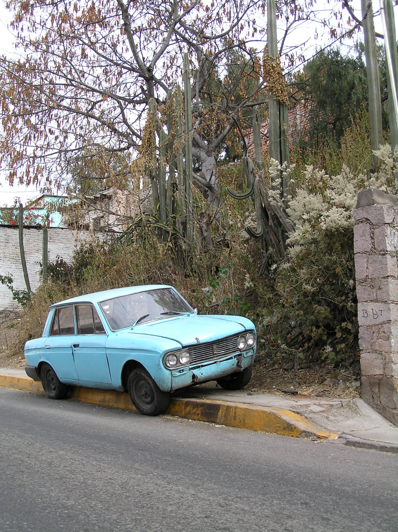 mexpics 357.jpg