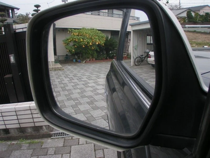 mirror covers 017b.webp