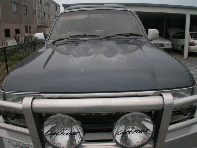 mirror covers 023b.webp