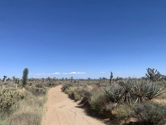 Mojave Road 9-22.webp
