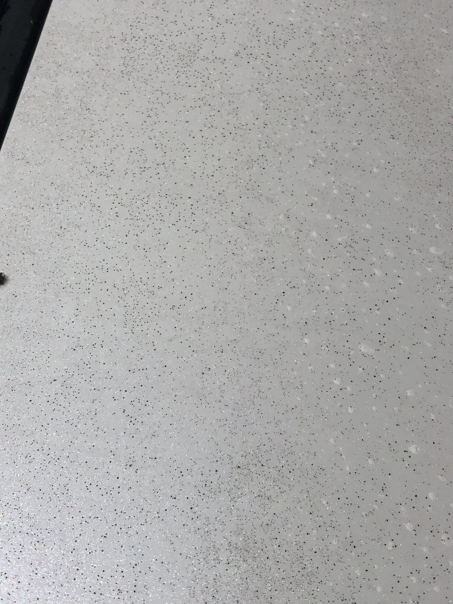 Mold on Paint.jpeg