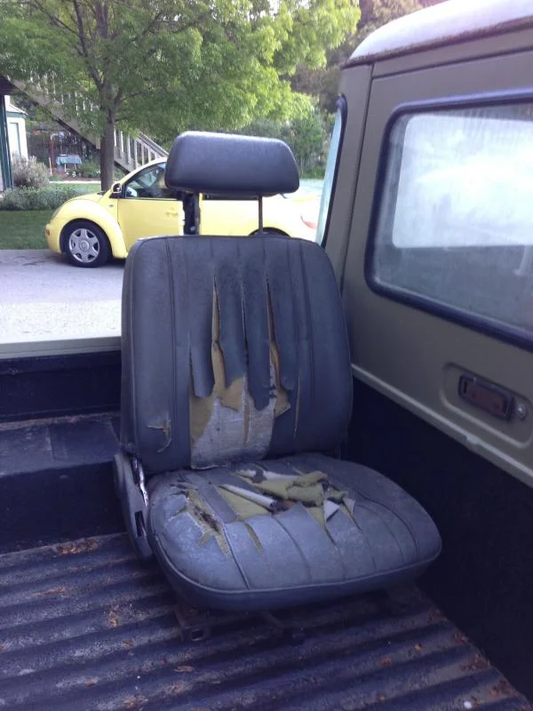 moldy_seat.webp