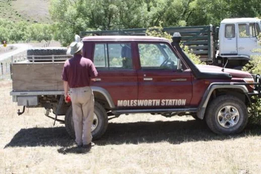 Molesworth Double cab.webp