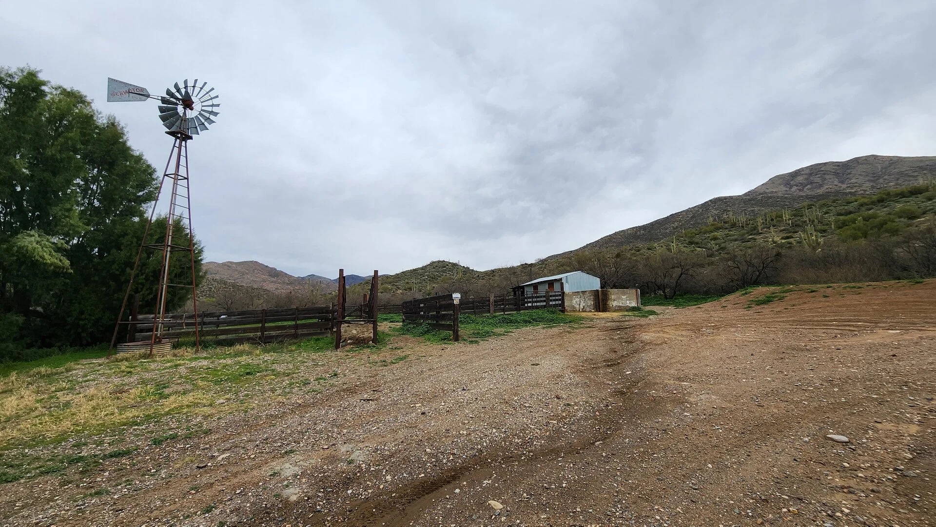montanamtn22523_8.webp