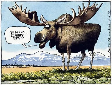 moose afraid.webp