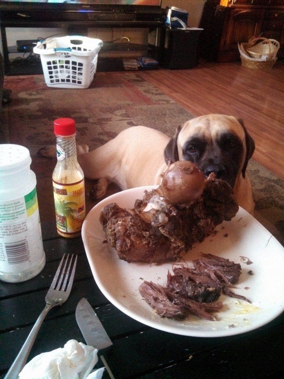 Moose.jpg