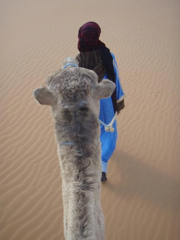 morocco 353.webp