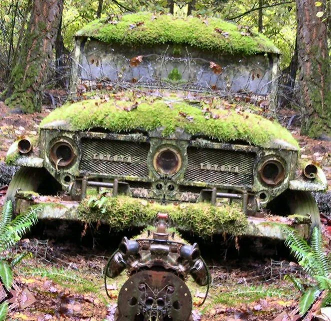 MossCovered Cruiser3.webp