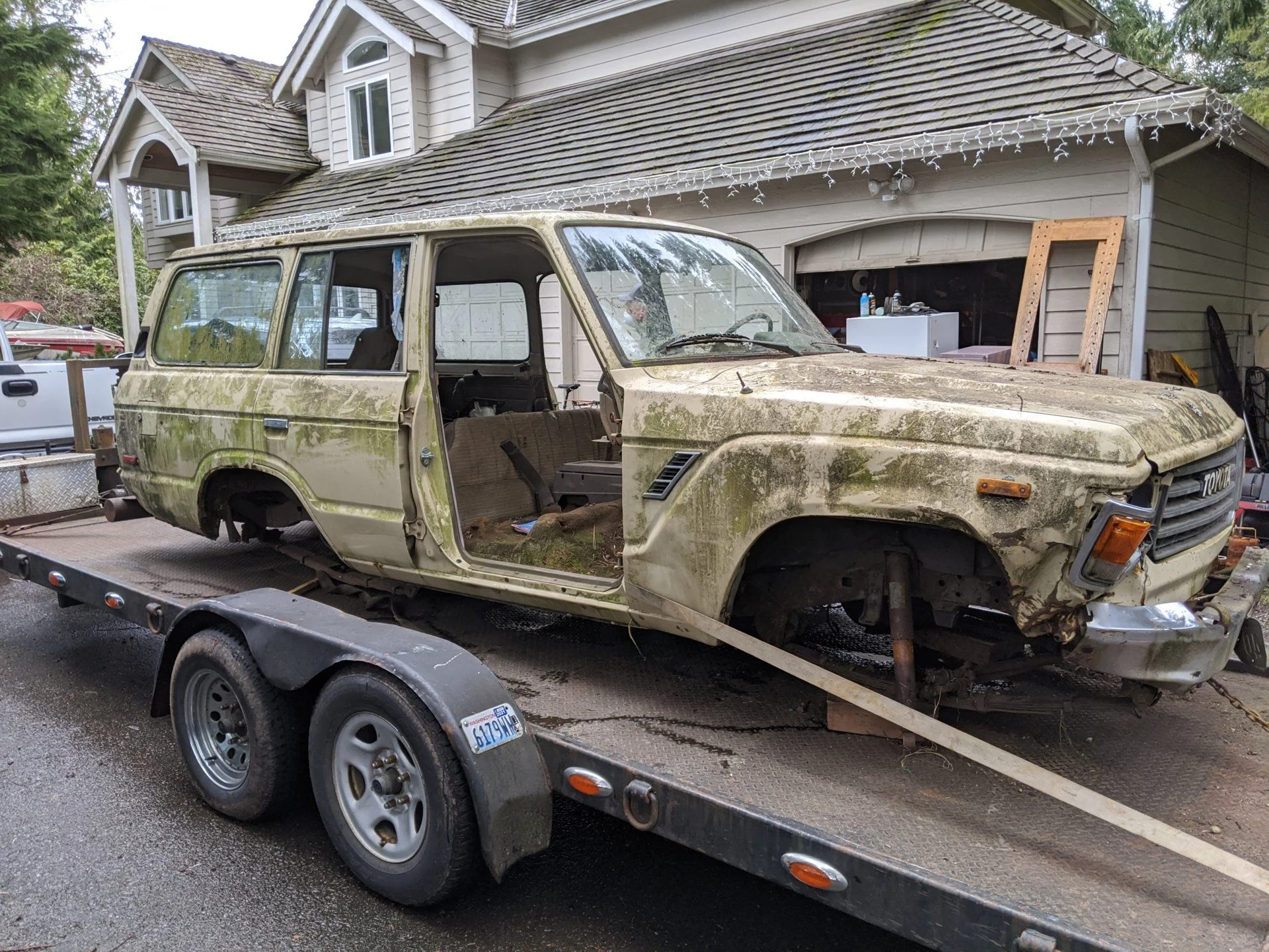 Mossy passenger.webp