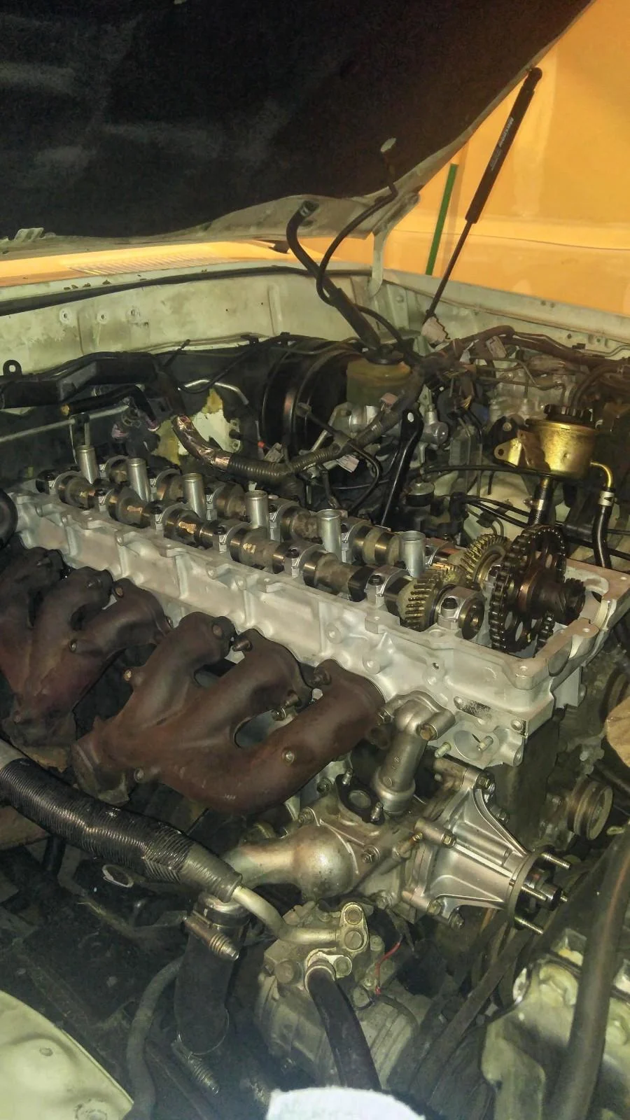 Motor.jpg