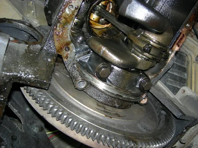 ms01.jpg
