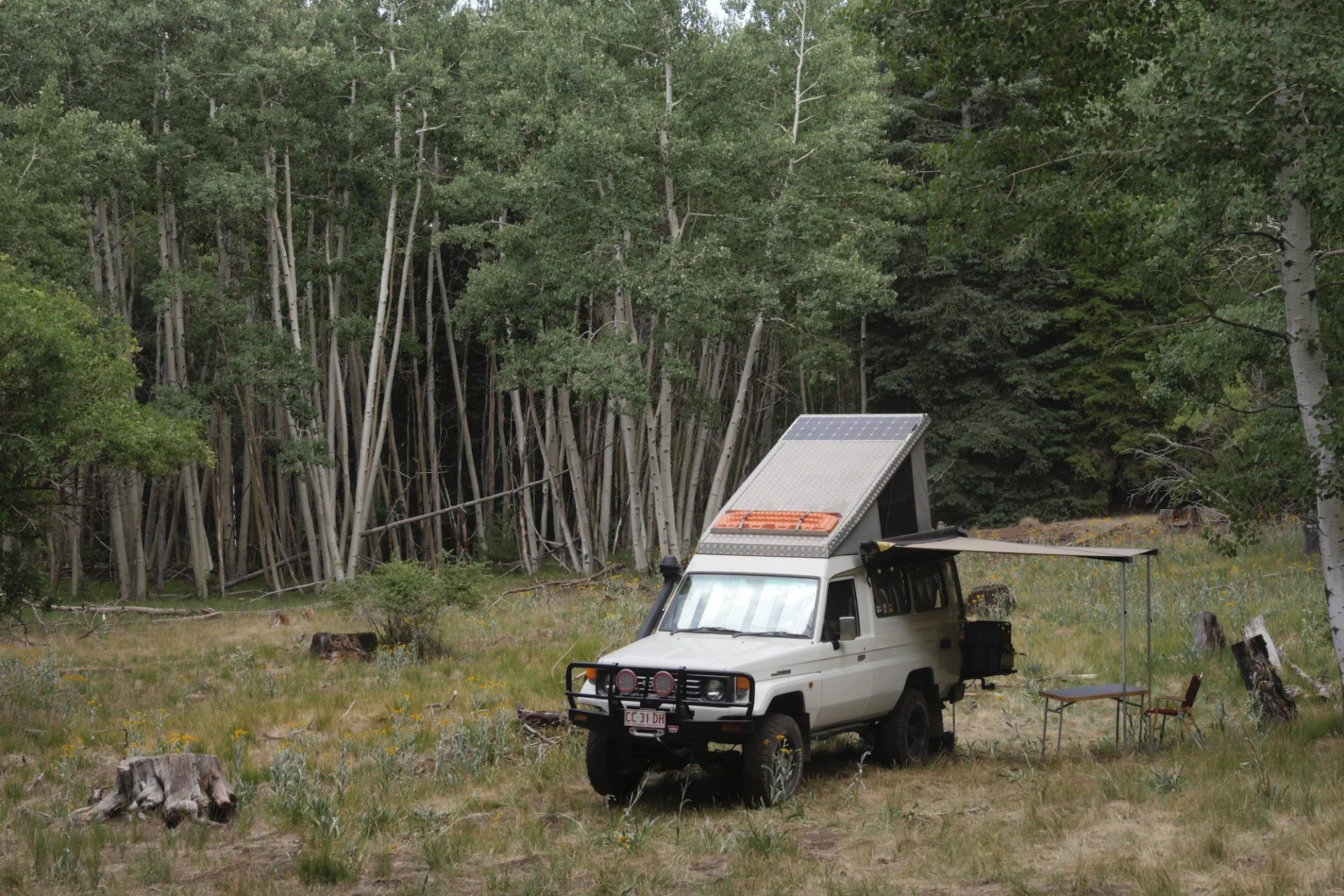 Mt. Graham small.webp