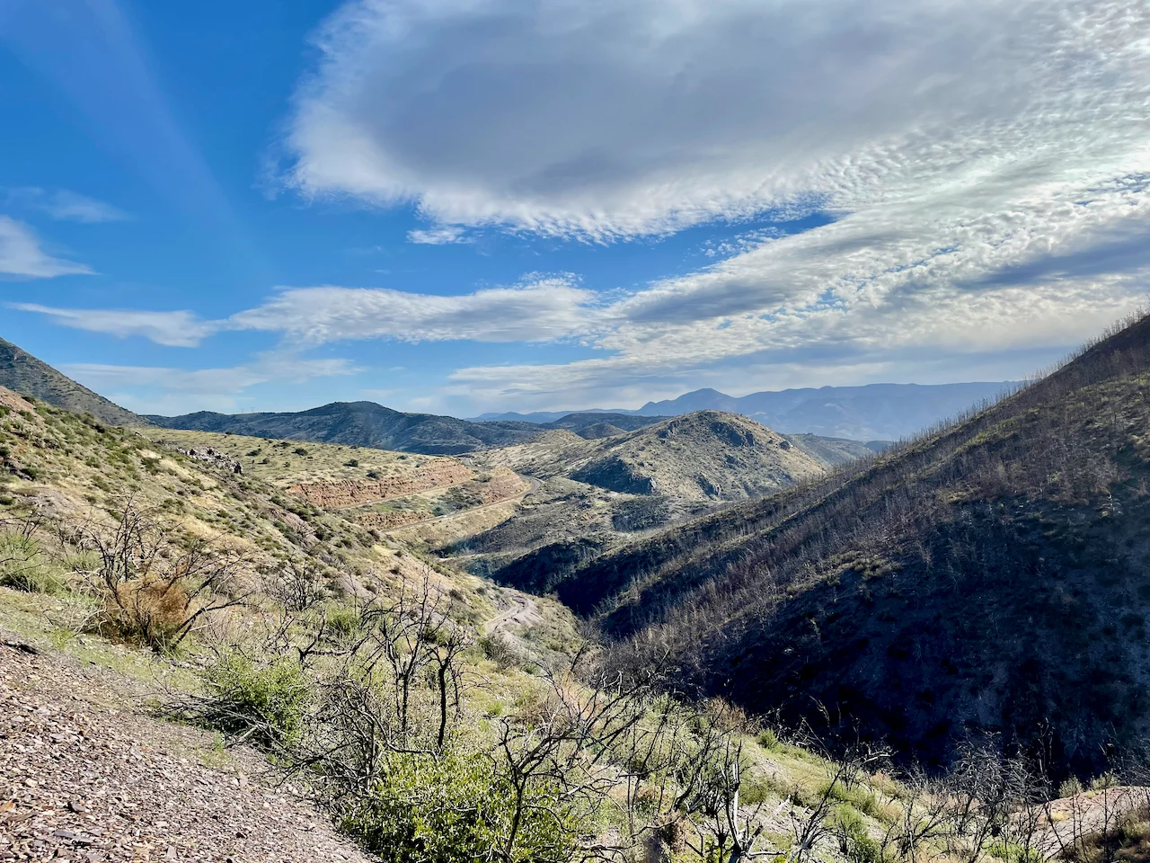Mt. Ord 8.webp