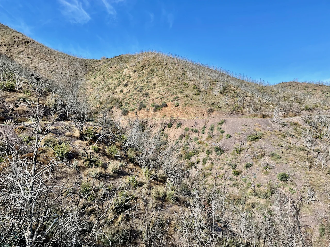 Mt. Ord 9.webp