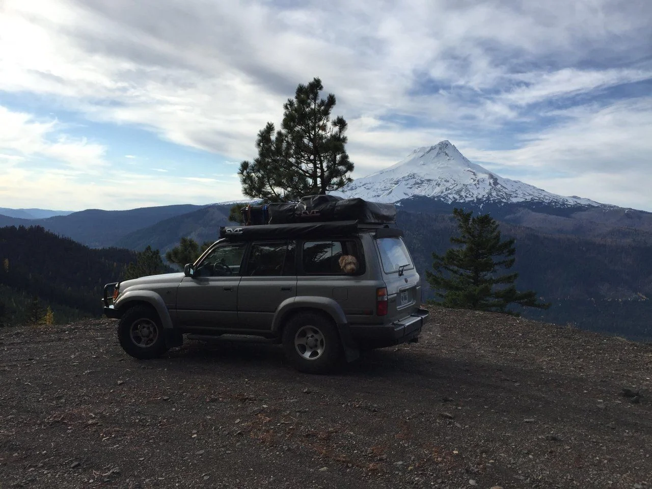 mthood.webp