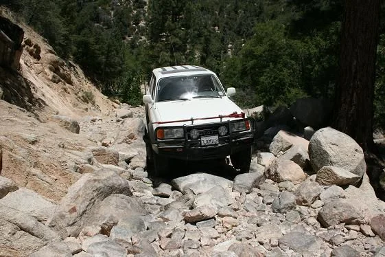 Mud 9.webp