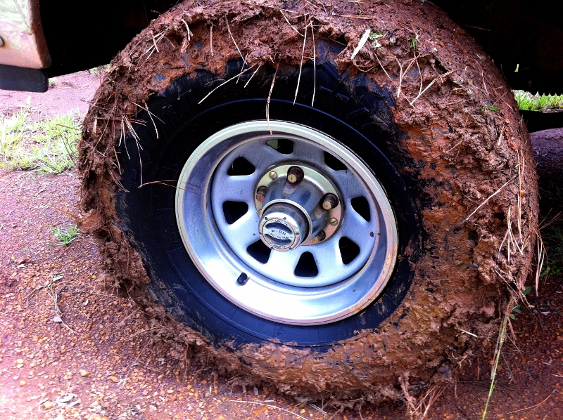 Mud.jpg