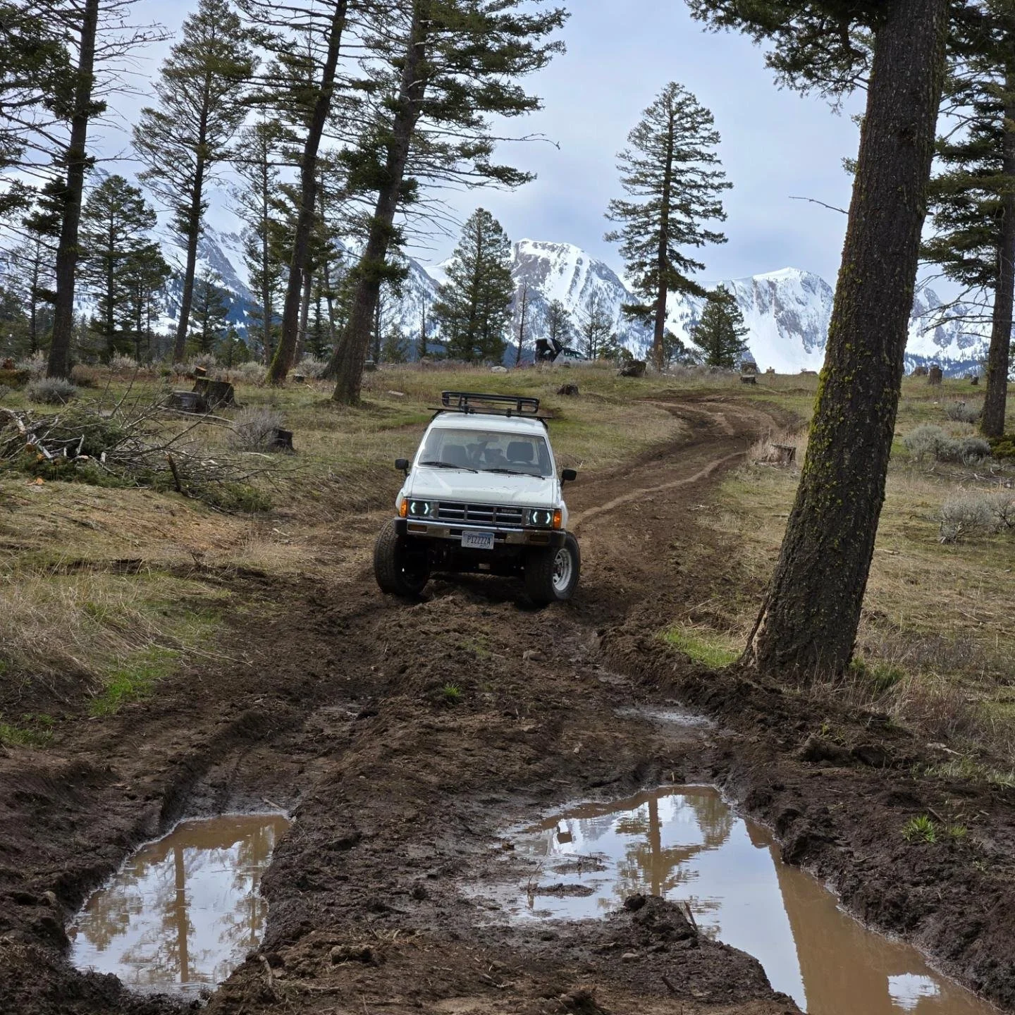 Mud shot.jpg
