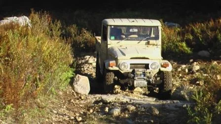 mud1.webp