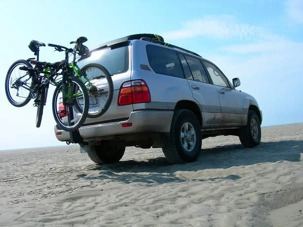 mud2.webp