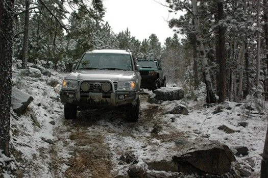 mud2.webp