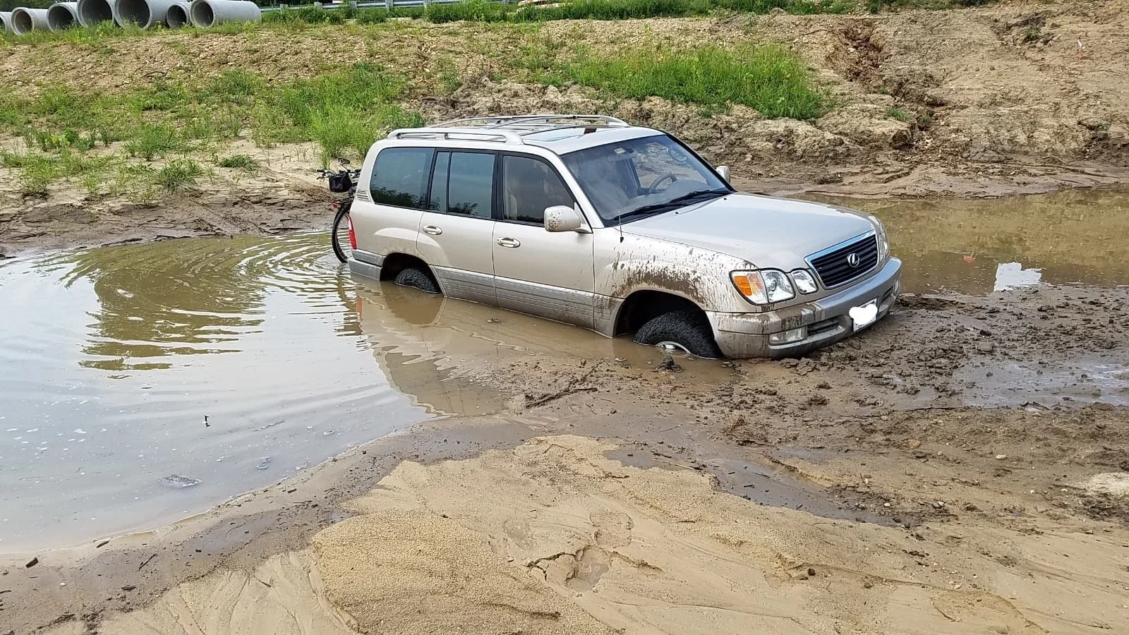 MudBog_LI.webp