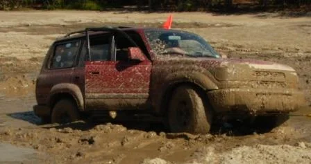 mudd.webp