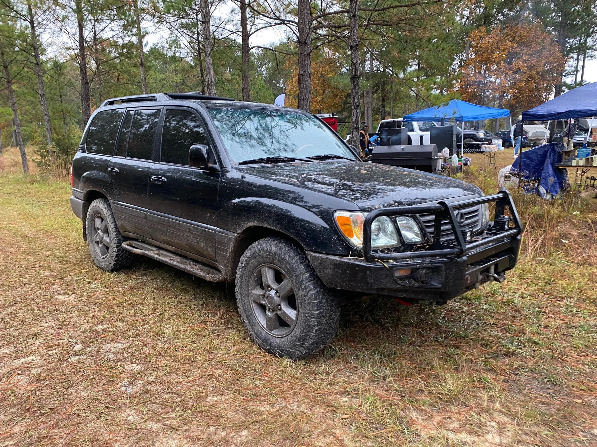 muddy.webp
