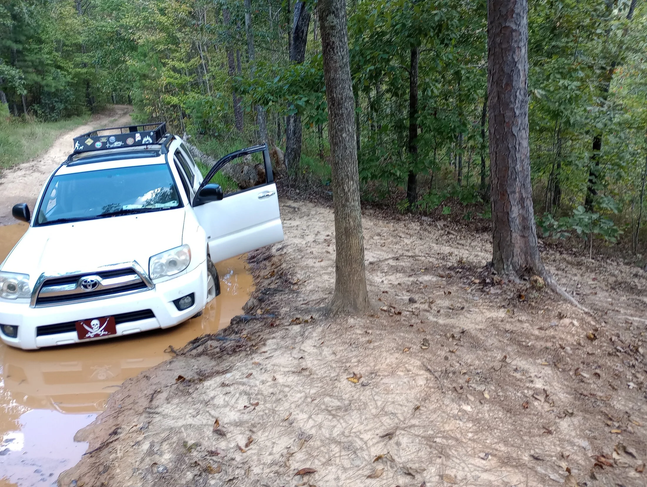 mudhole.webp