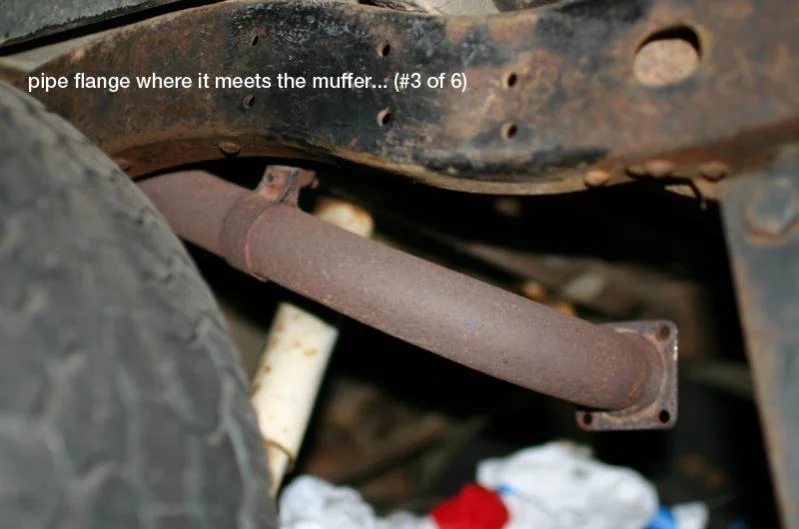 muff_3.webp