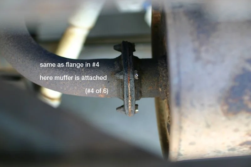 muff_4.webp