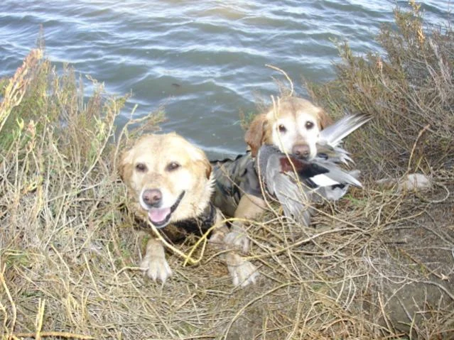 mugu12-23-06 008.jpg