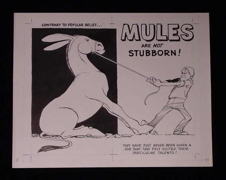 mule4.webp