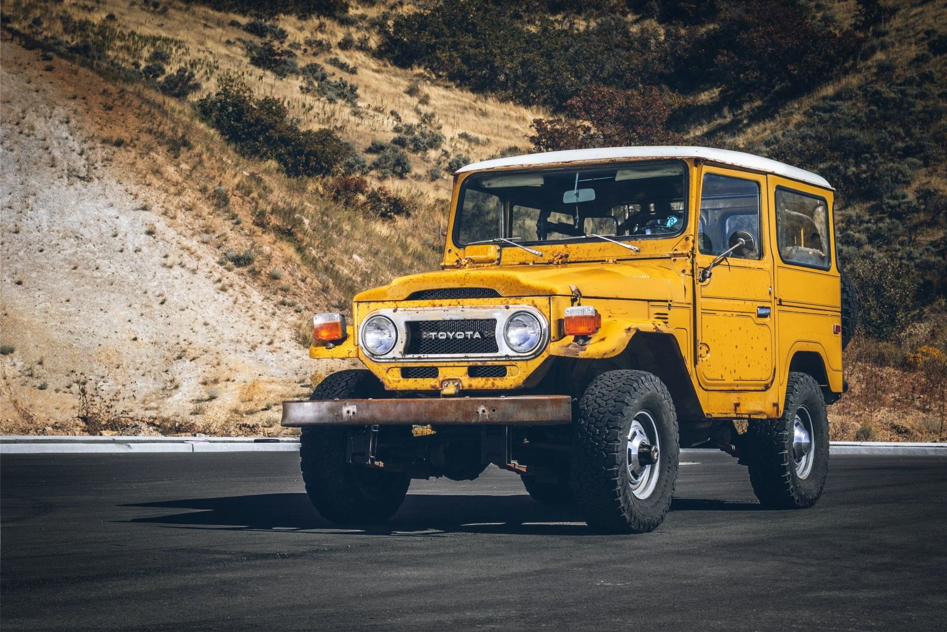 Mustard 2.jpg