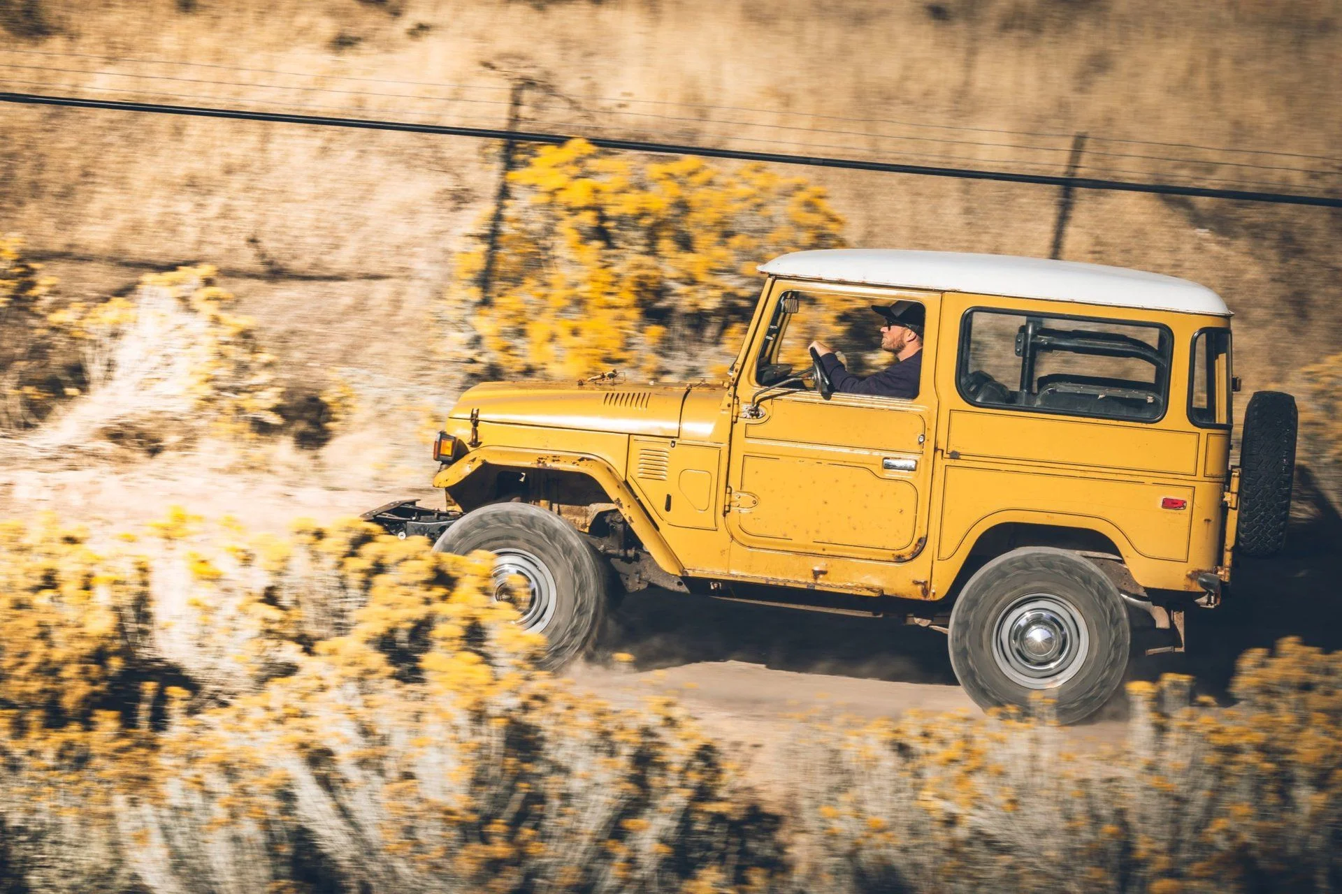 Mustard 27.webp