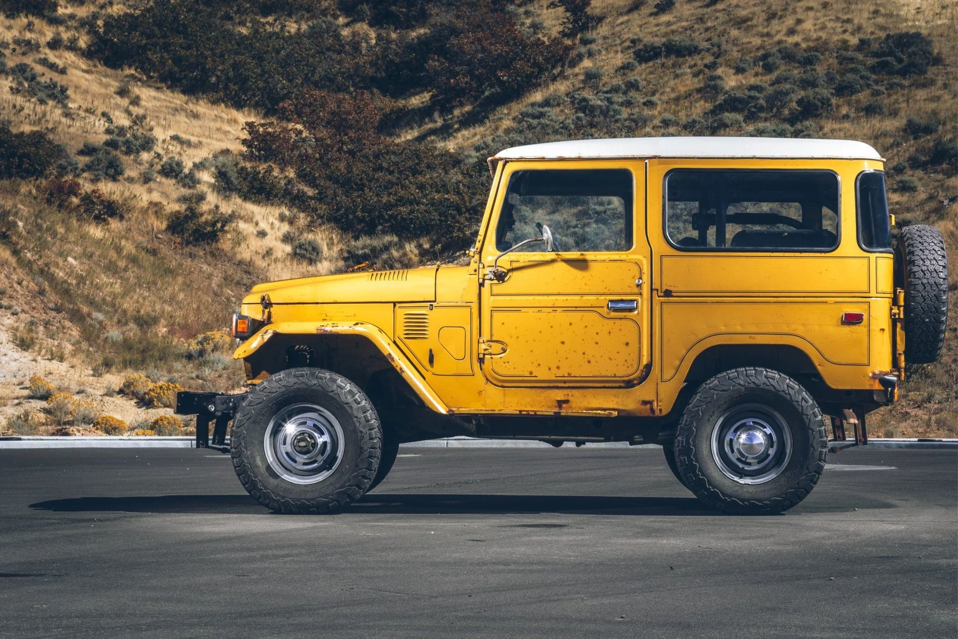 Mustard 3.jpg