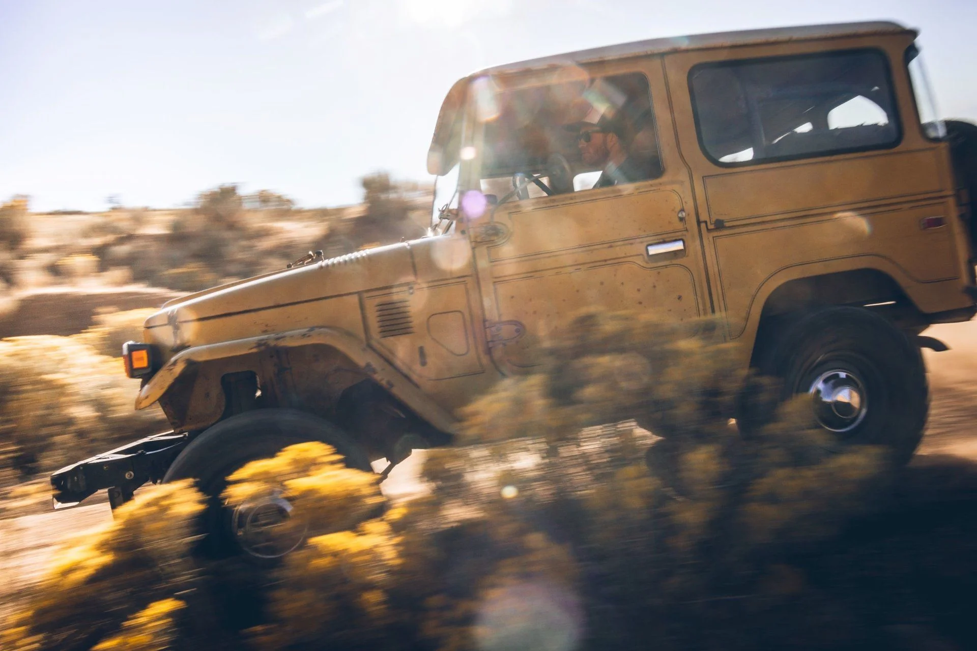 Mustard 30.webp