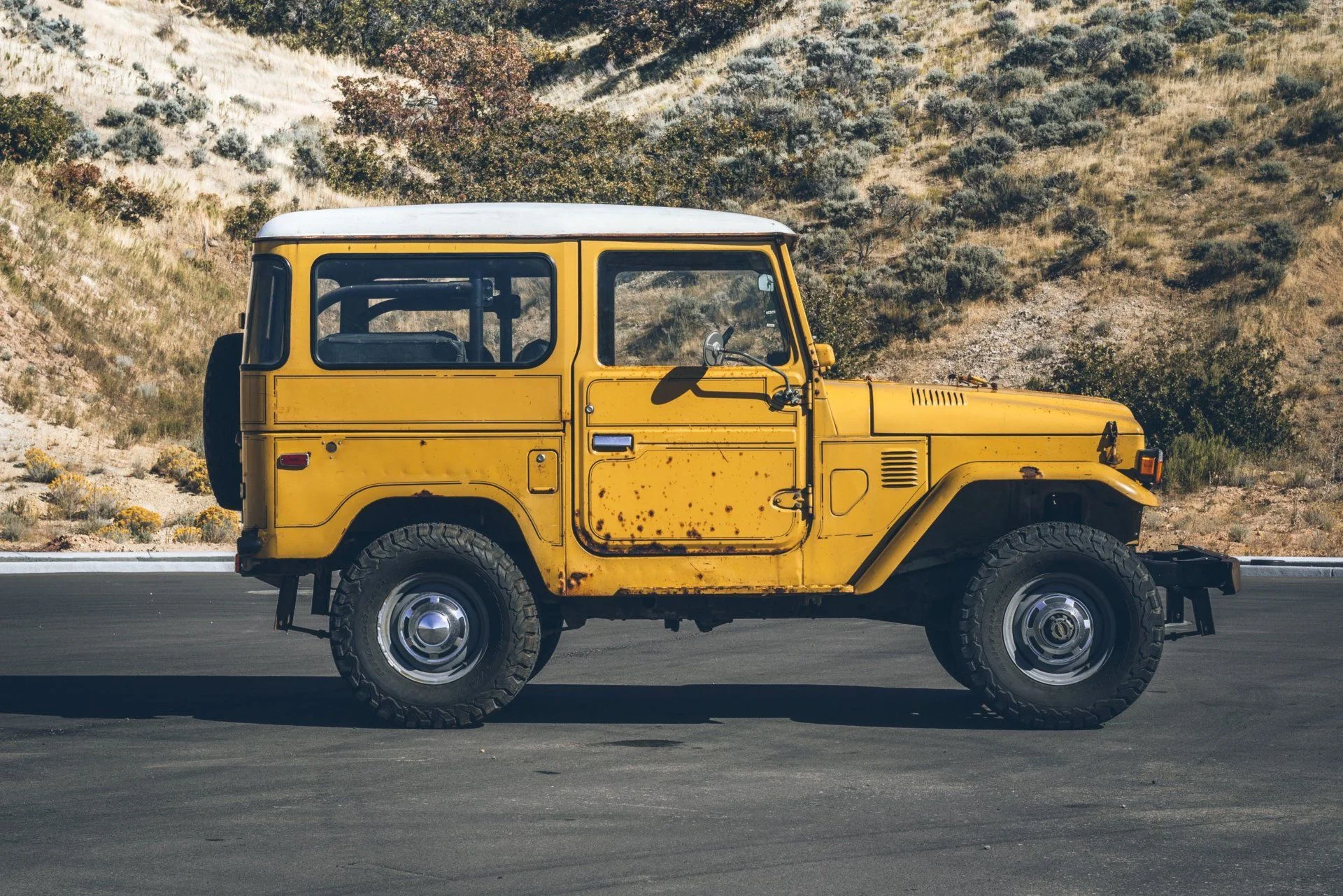 Mustard 5.jpg