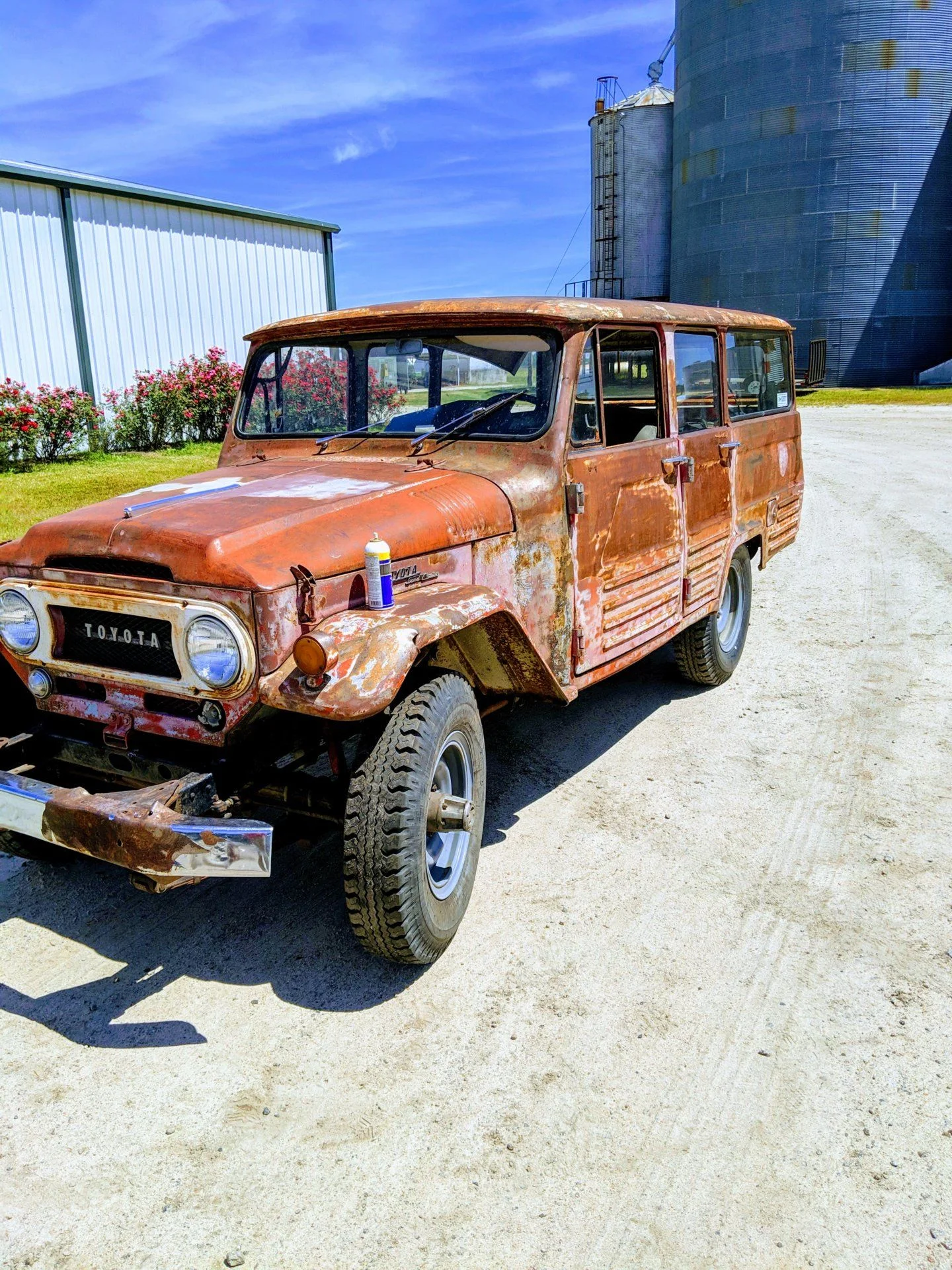 MVIMG_20190423_123145-EFFECTS.webp