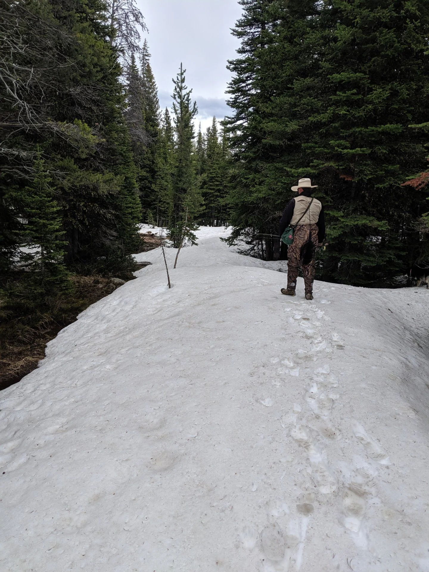 MVIMG_20190616_142913.webp