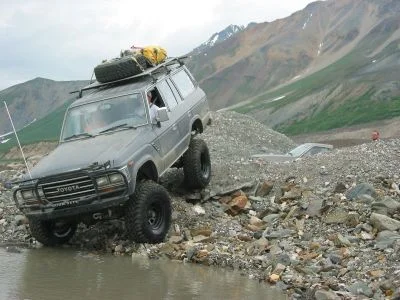 My 62.webp