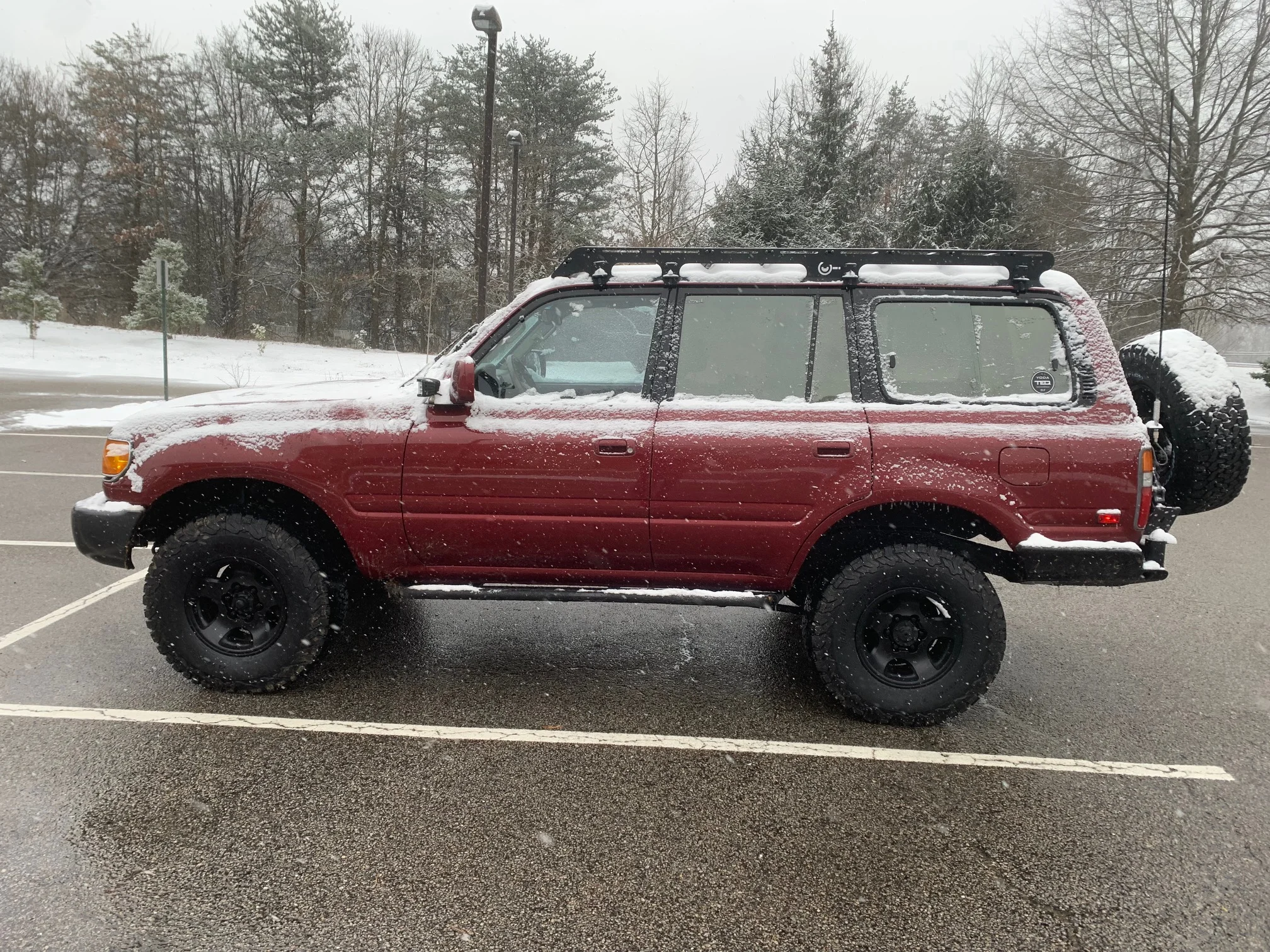 My 80.webp