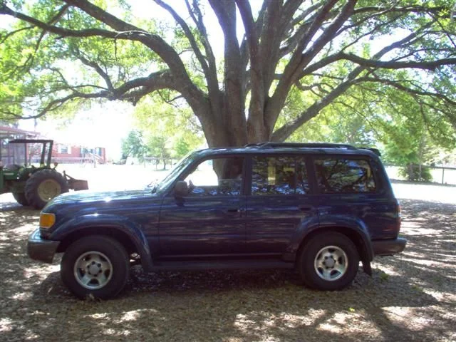 My 96 LC 002 (Small).webp