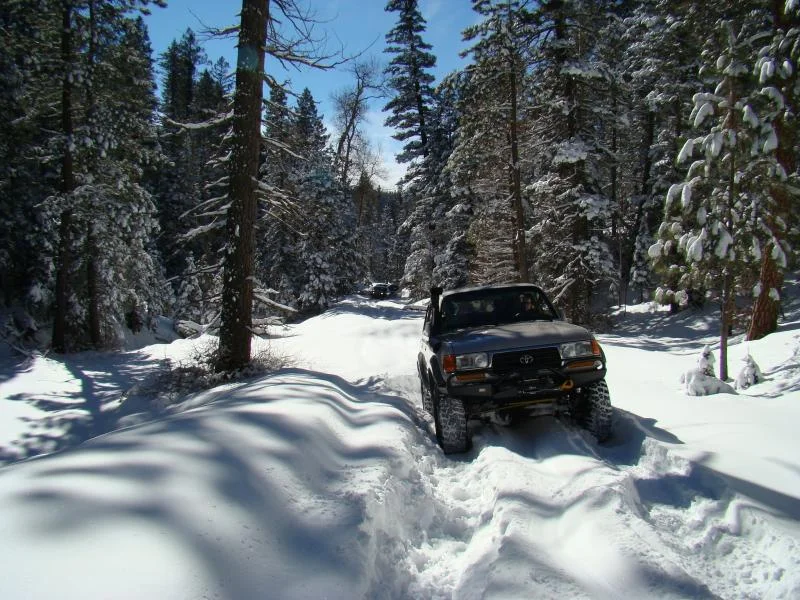 My80.webp