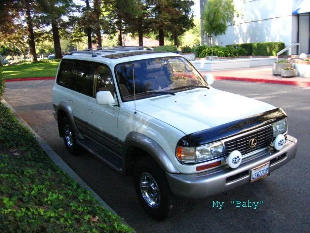 my_baby.webp