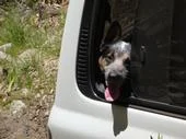 mylesride.webp