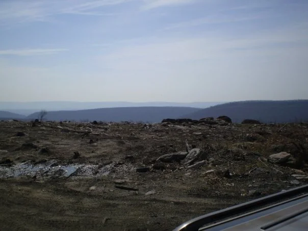 n590898202_840946_1401.webp