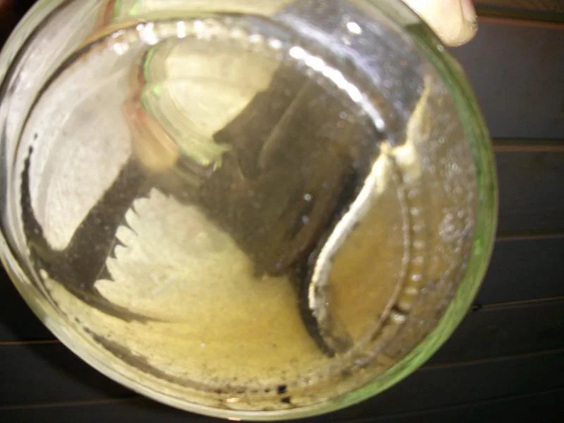 naphtha-test.webp