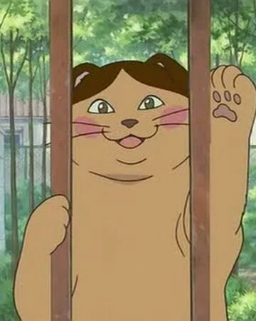 Natoru.jpg