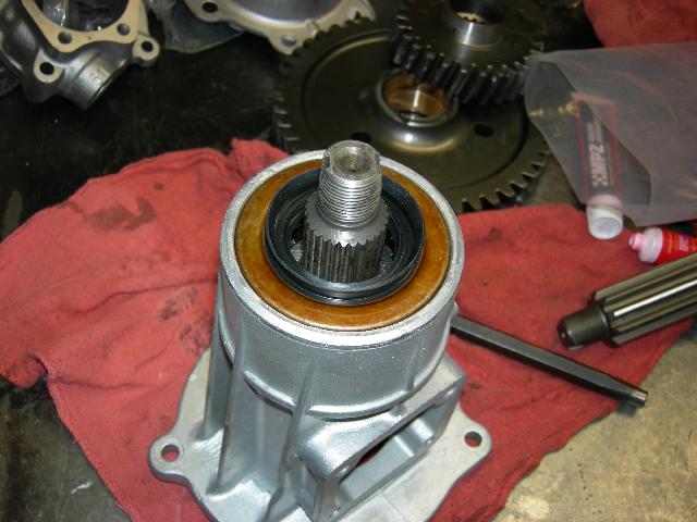 ncseal01.jpg